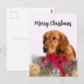 Gouden Retriever-hond met kerstversiering Briefkaart (Voorkant / Achterkant)