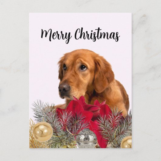 Gouden Retriever-hond met kerstversiering Briefkaart (Voorkant)