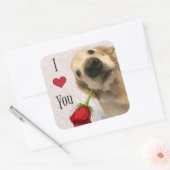 Gouden Retriever hond met rode roos Ik hou van je Vierkante Sticker (Envelop)