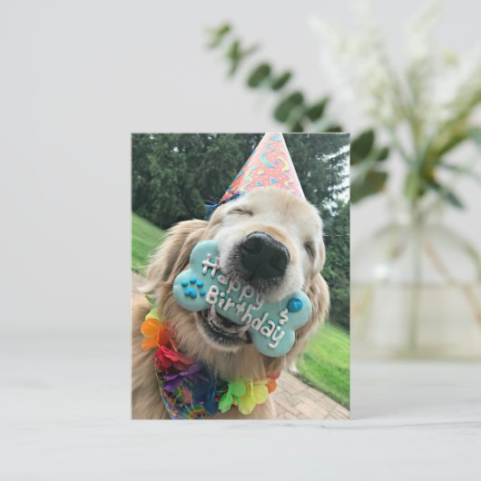 Gouden Retriever-hond met verjaardagsverjaardagsca Briefkaart (Staand voorkant)
