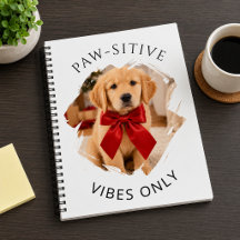 Gouden Retriever hond Positieve vibes only foto