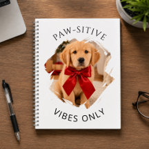 Gouden Retriever hond Positieve vibes only foto