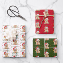 Gouden Retriever Hond Sinterklaas Kerstmis