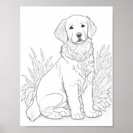 Gouden Retriever Hond Volwassen Kleurplaten Poster
