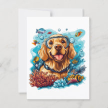 Gouden Retriever Honden Snorkelen Koraalrif