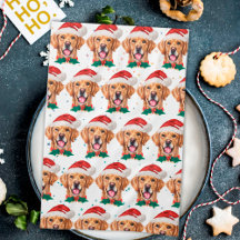 Gouden Retriever hondenras Kerstmis