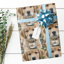 Gouden Retriever Huisdier Aangepaste Huisdier Foto