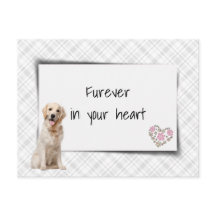 Gouden Retriever Huisdier Medeleven Verlies