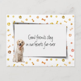 Gouden Retriever Huisdier Sympathie Verlies Briefkaart