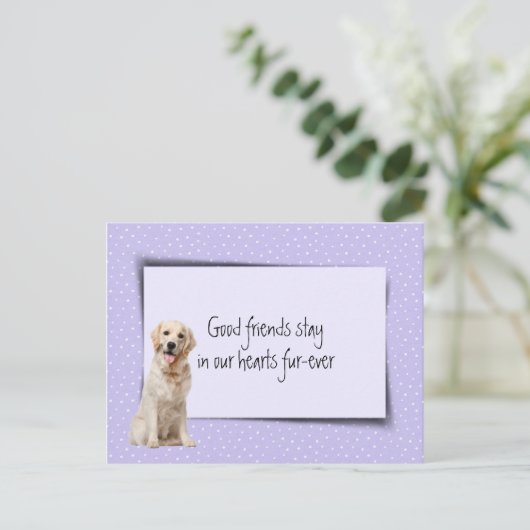 Gouden Retriever Huisdier Verlies Van Dierenarts Briefkaart (Staand voorkant)