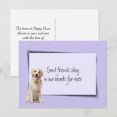 Gouden Retriever Huisdier Verlies Van Dierenarts Briefkaart (Voorkant / Achterkant)