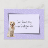 Gouden Retriever Huisdier Verlies Van Dierenarts Briefkaart (Voorkant)