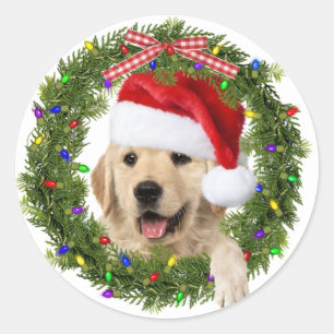 Gouden Retriever in Kerstkrans Ronde Sticker