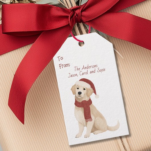 Gouden Retriever in Kerstmannenmuts Kerstcadeautag Cadeaulabel