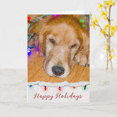 Gouden Retriever in lichten verstrikt Kaart (Gele Bloem)