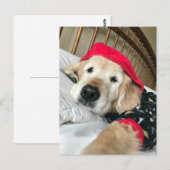 Gouden Retriever in Pyjama's Beterschap Briefkaart (Voorkant / Achterkant)