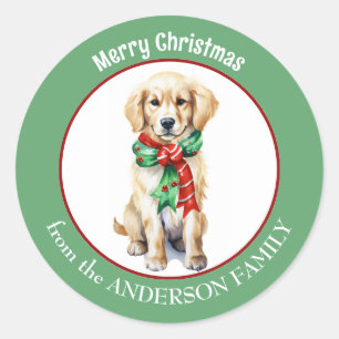Gouden Retriever in rode en groene kerstsjaal Ronde Sticker
