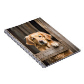 Gouden Retriever in Schuur Venster Notitieboek (Rechterzijde)