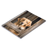 Gouden Retriever in Schuur Venster Notitieboek (Linkerzijde)