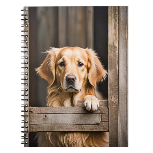 Gouden Retriever in Schuur Venster Notitieboek (Voorkant)