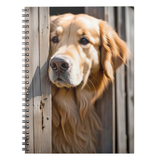 Gouden Retriever in schuurdeur Notitieboek (Voorkant)