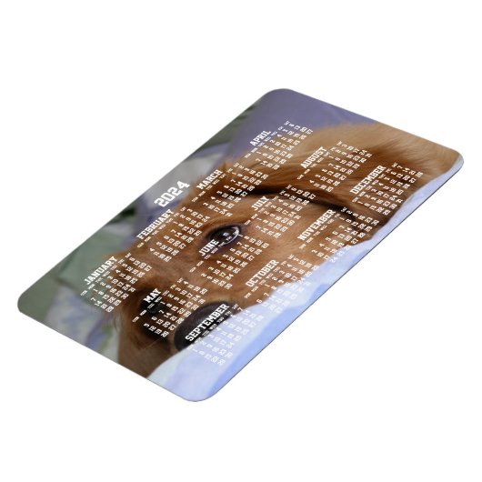Gouden Retriever Kalender 2024 Grote Fotomagneet Magneet (Linkerzijde)