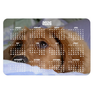 Gouden Retriever Kalender 2026 Grote Foto Magneet