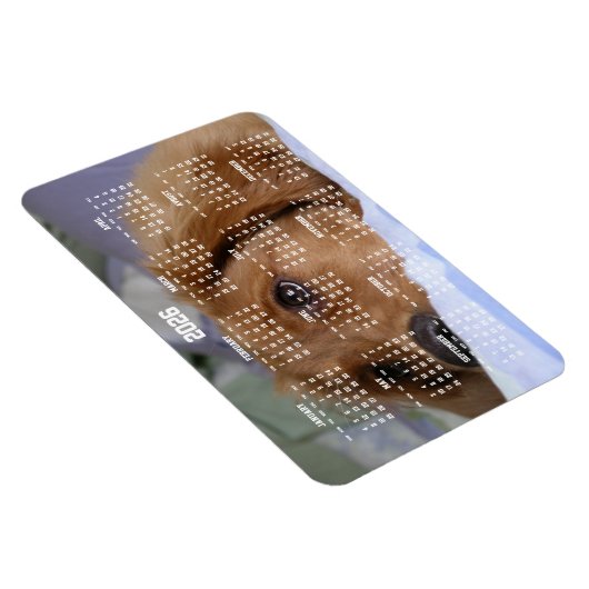 Gouden Retriever Kalender 2026 Grote Foto Magneet (Rechterzijde)
