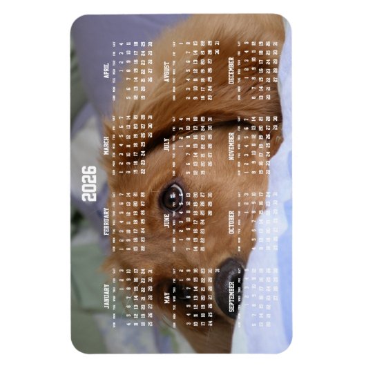 Gouden Retriever Kalender 2026 Grote Foto Magneet (Verticaal)