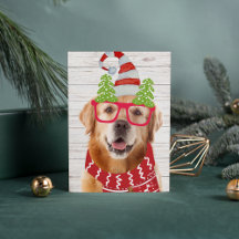 Gouden Retriever Kerst Bril Hoed Sjaal Grappig