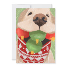 Gouden Retriever Kerstballen Mond Grappig