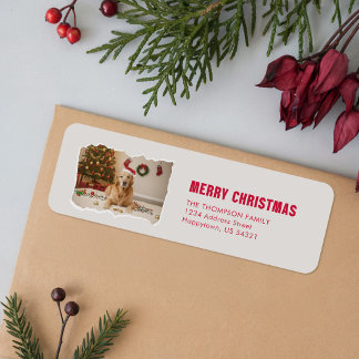 Gouden Retriever Kerstman Hoed Hond Foto Kerstmis Etiket