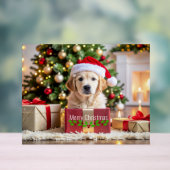 Gouden Retriever Kerstmis Acryl Bord (Neutraal)