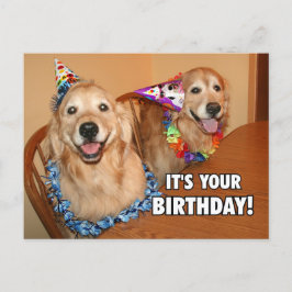 Gouden Retriever Laten we feestvieren Verjaardag Uitnodiging Briefkaart