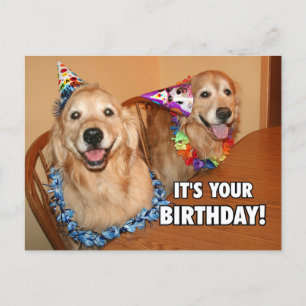 Gouden Retriever Laten we feestvieren Verjaardag Uitnodiging Briefkaart