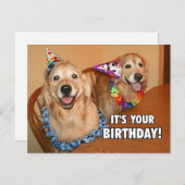 Gouden Retriever Laten we feestvieren Verjaardag Uitnodiging Briefkaart (Voorkant / Achterkant)