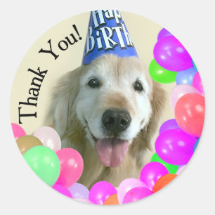 Gouden Retriever met ballonnen Dank u Verjaardag Ronde Sticker