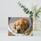 Gouden Retriever met een Schandekegel Briefkaart (Staand voorkant)