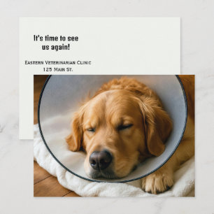 Gouden Retriever met een Schandekegel Briefkaart