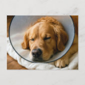 Gouden Retriever met een Schandekegel Briefkaart (Voorkant)