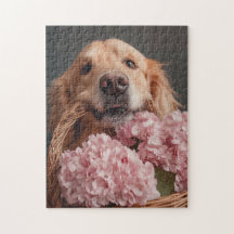 Gouden retriever met mand van roze hortensia's