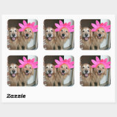 Gouden Retriever met roze bloemhoofdband Vierkante Sticker (Vel)