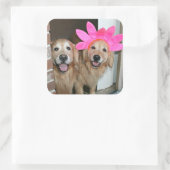 Gouden Retriever met roze bloemhoofdband Vierkante Sticker (Tas)
