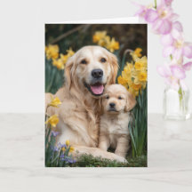 Gouden Retriever Moeder Moederdag Liefde