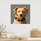 Gouden Retriever Portret met zwarte kraag Poster (Keuken)