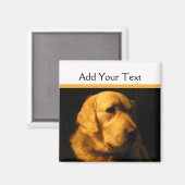 Gouden Retriever Portretmagneet Magneet (Voorkant / Achterkant)