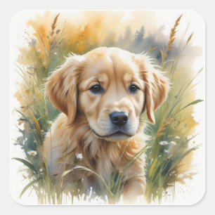 Gouden retriever pup bij zonsondergang vierkante sticker
