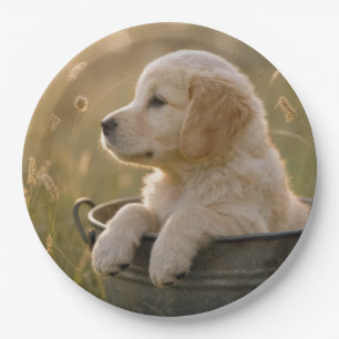 Gouden Retriever Pup in een Metalen Emmer Papieren Bordje