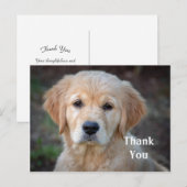 Gouden Retriever Puppy Bedankkaart Briefkaart (Voorkant / Achterkant)