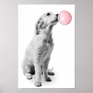 Gouden Retriever Puppy Bubbel Kraamkamer Kind Poster